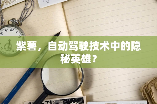 紫薯，自动驾驶技术中的隐秘英雄？