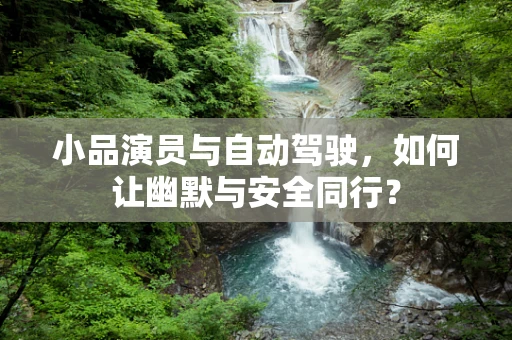 小品演员与自动驾驶，如何让幽默与安全同行？