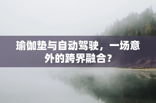 瑜伽垫与自动驾驶，一场意外的跨界融合？
