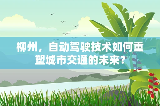 柳州，自动驾驶技术如何重塑城市交通的未来？