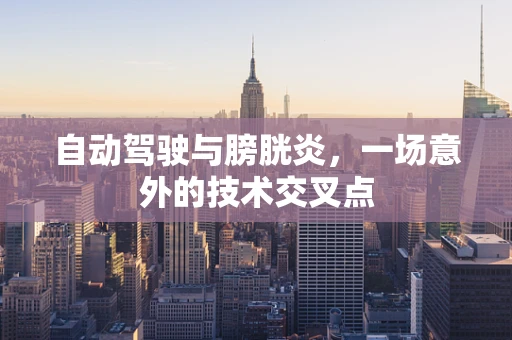 自动驾驶与膀胱炎，一场意外的技术交叉点