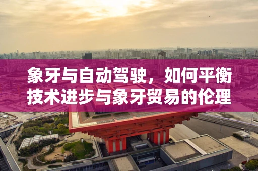 象牙与自动驾驶，如何平衡技术进步与象牙贸易的伦理边界？