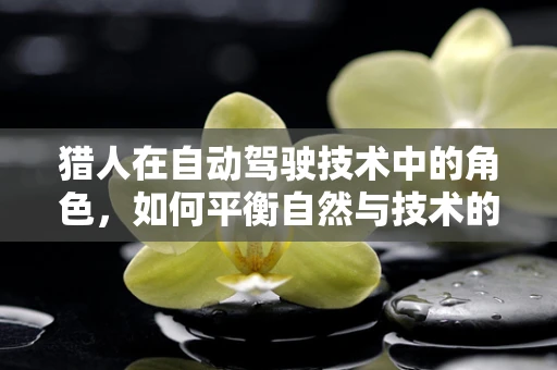 猎人在自动驾驶技术中的角色，如何平衡自然与技术的狩猎场？