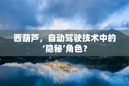 西葫芦，自动驾驶技术中的‘隐秘’角色？