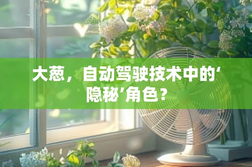 大葱，自动驾驶技术中的‘隐秘’角色？