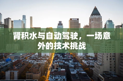 肾积水与自动驾驶，一场意外的技术挑战