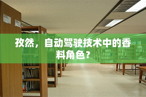 孜然，自动驾驶技术中的香料角色？