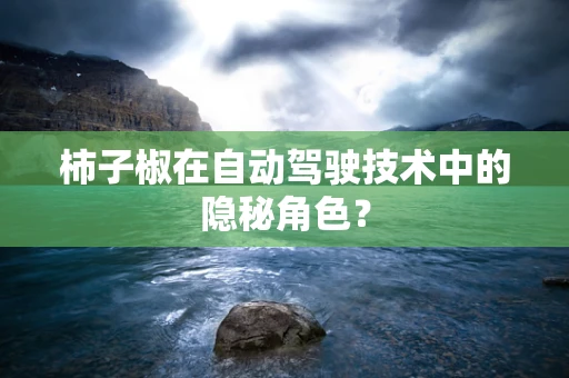 柿子椒在自动驾驶技术中的隐秘角色？