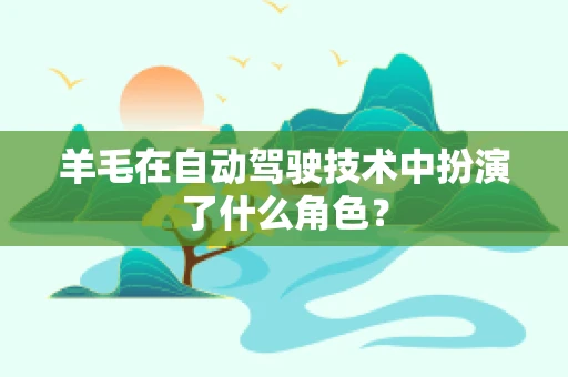 羊毛在自动驾驶技术中扮演了什么角色？