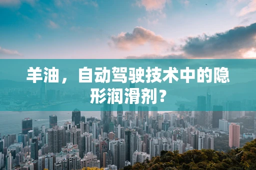 羊油，自动驾驶技术中的隐形润滑剂？