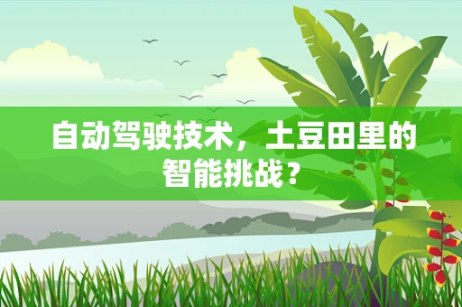 自动驾驶技术，土豆田里的智能挑战？