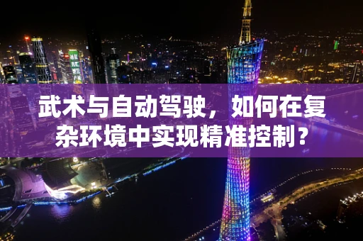 武术与自动驾驶，如何在复杂环境中实现精准控制？