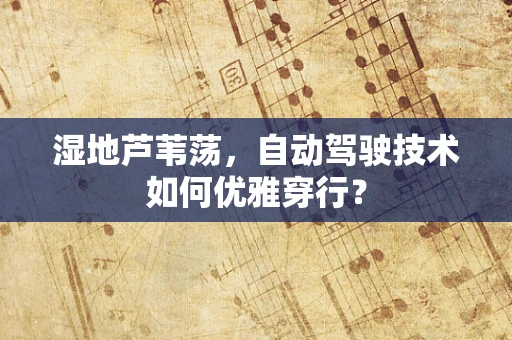 湿地芦苇荡，自动驾驶技术如何优雅穿行？