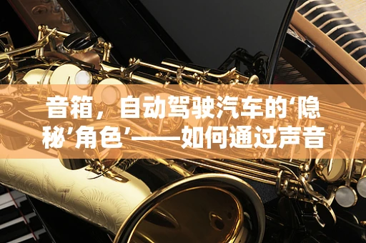音箱，自动驾驶汽车的‘隐秘’角色’——如何通过声音优化驾驶体验？