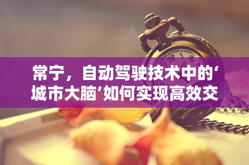 常宁，自动驾驶技术中的‘城市大脑’如何实现高效交通管理？