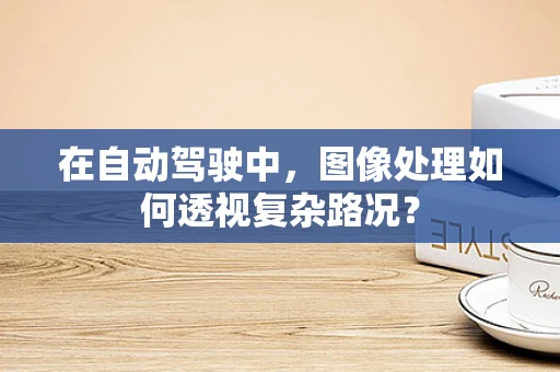 在自动驾驶中，图像处理如何透视复杂路况？