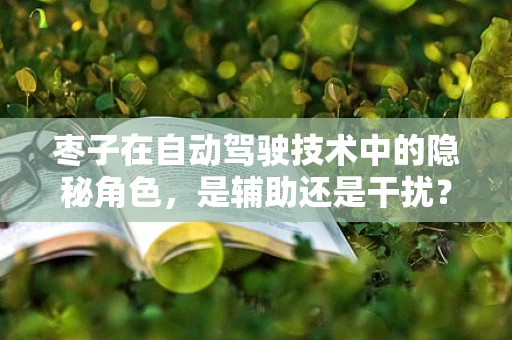 枣子在自动驾驶技术中的隐秘角色，是辅助还是干扰？