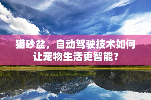 猫砂盆，自动驾驶技术如何让宠物生活更智能？