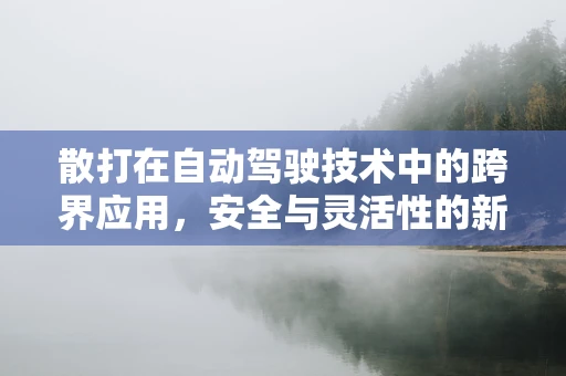 散打在自动驾驶技术中的跨界应用，安全与灵活性的新维度？