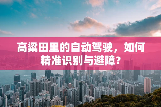 高粱田里的自动驾驶，如何精准识别与避障？