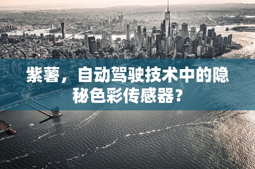 紫薯，自动驾驶技术中的隐秘色彩传感器？