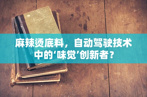 麻辣烫底料，自动驾驶技术中的‘味觉’创新者？