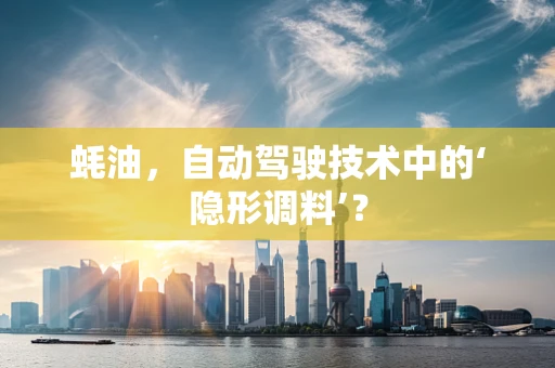 蚝油，自动驾驶技术中的‘隐形调料’？