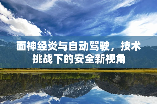 面神经炎与自动驾驶，技术挑战下的安全新视角