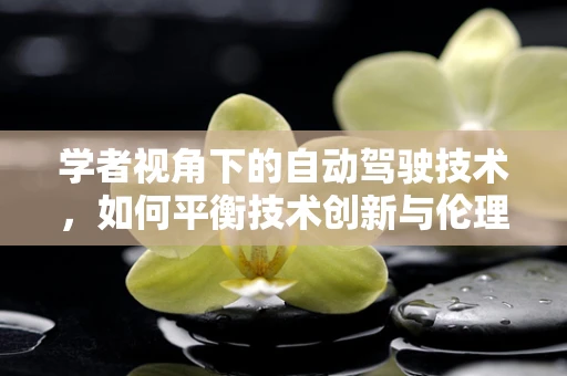 学者视角下的自动驾驶技术，如何平衡技术创新与伦理道德？