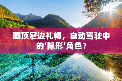 圆顶窄边礼帽，自动驾驶中的‘隐形’角色？