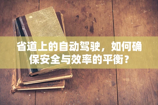 省道上的自动驾驶，如何确保安全与效率的平衡？