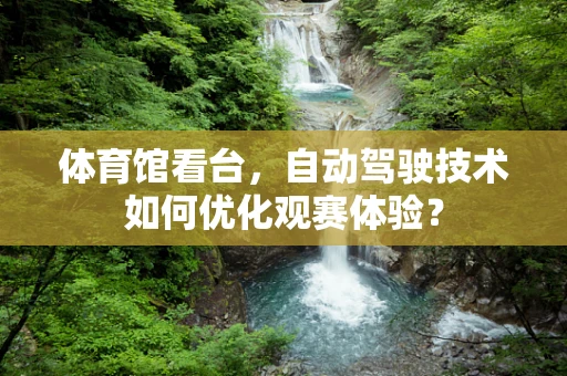 体育馆看台，自动驾驶技术如何优化观赛体验？
