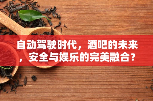 自动驾驶时代，酒吧的未来，安全与娱乐的完美融合？