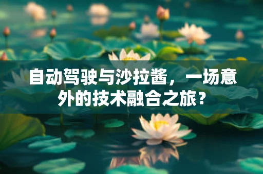 自动驾驶与沙拉酱，一场意外的技术融合之旅？