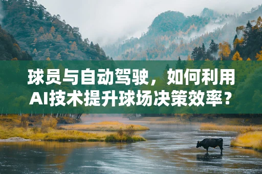 球员与自动驾驶，如何利用AI技术提升球场决策效率？