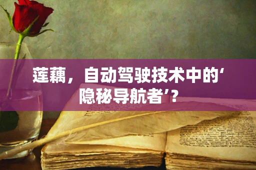 莲藕，自动驾驶技术中的‘隐秘导航者’？