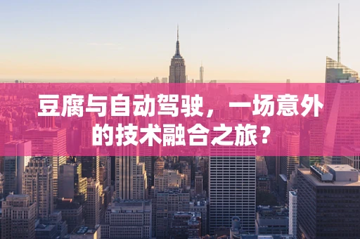 豆腐与自动驾驶，一场意外的技术融合之旅？