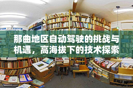 那曲地区自动驾驶的挑战与机遇，高海拔下的技术探索