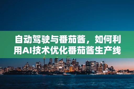 自动驾驶与番茄酱，如何利用AI技术优化番茄酱生产线的智能监控？