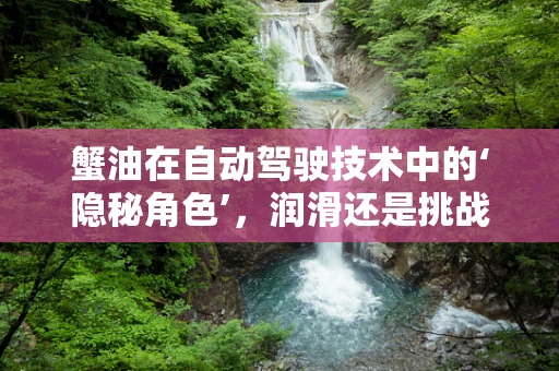 蟹油在自动驾驶技术中的‘隐秘角色’，润滑还是挑战？
