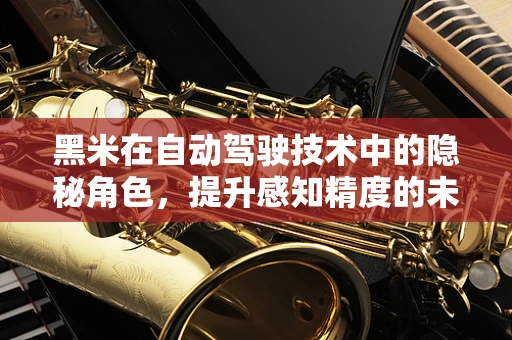 黑米在自动驾驶技术中的隐秘角色，提升感知精度的未知英雄？