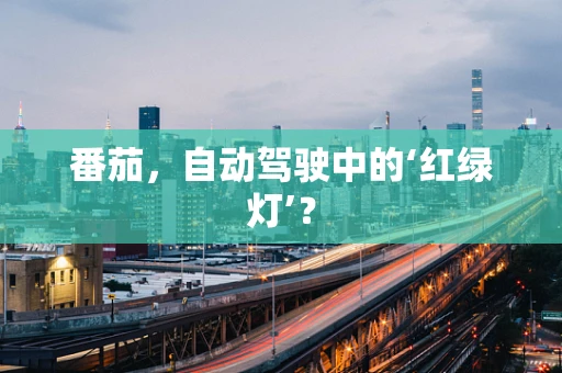 番茄，自动驾驶中的‘红绿灯’？
