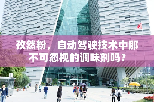 孜然粉，自动驾驶技术中那不可忽视的调味剂吗？