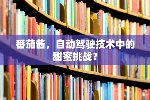 番茄酱，自动驾驶技术中的甜蜜挑战？