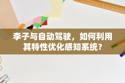 李子与自动驾驶，如何利用其特性优化感知系统？