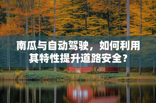 南瓜与自动驾驶，如何利用其特性提升道路安全？