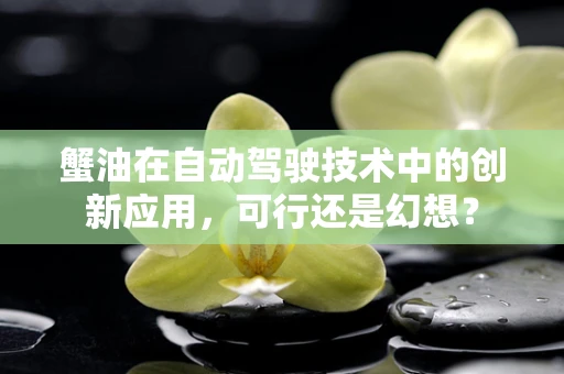 蟹油在自动驾驶技术中的创新应用，可行还是幻想？