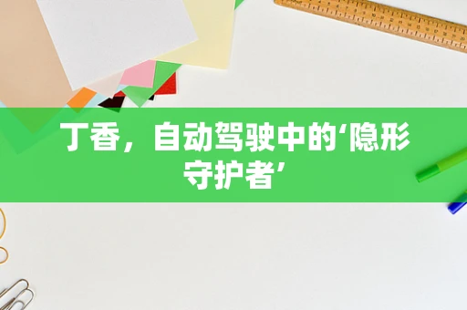 丁香，自动驾驶中的‘隐形守护者’