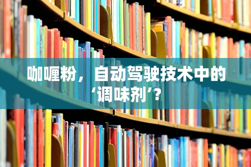 咖喱粉，自动驾驶技术中的‘调味剂’？