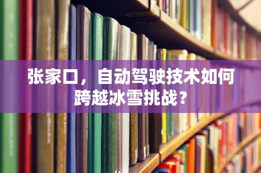 张家口，自动驾驶技术如何跨越冰雪挑战？